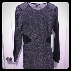 Express long sleeved dress